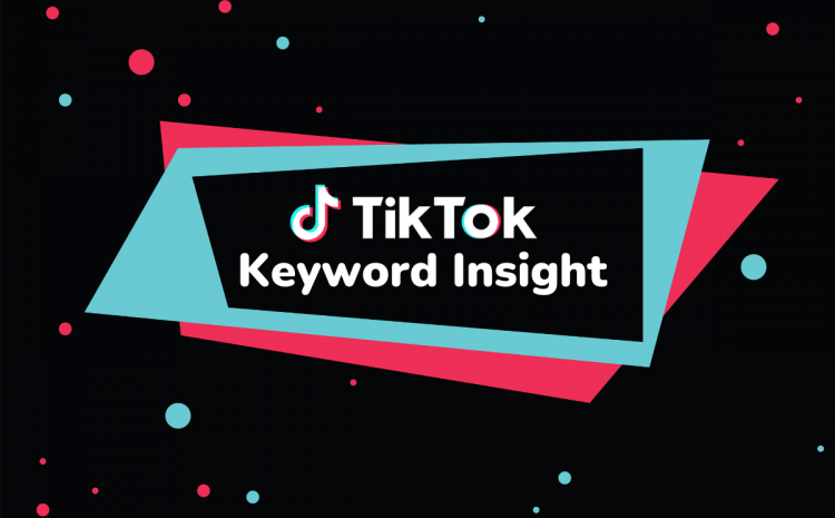 TikTok Keyword Insights