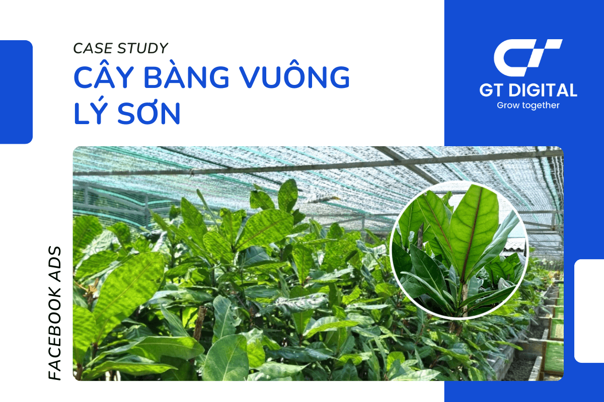 case-study-facebook-ads-cay-bang-vuong-ly-son