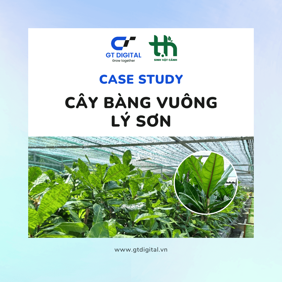case-study-facebookads-cay-bang-vuong-ly-son-sinh-vat-canh-t-h